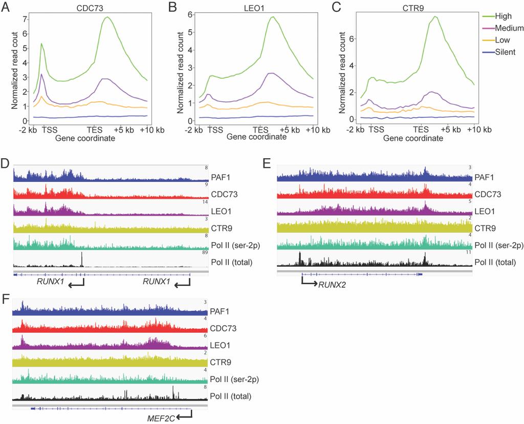 Fig. S1. PAF1C occupancy positively correlates with gene expression level.