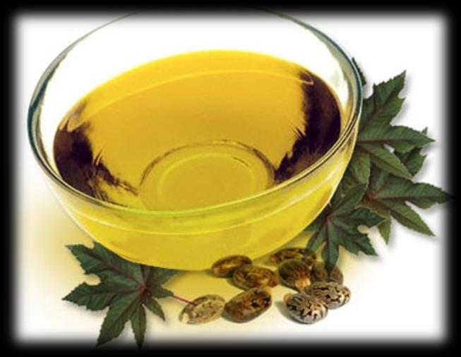 Koristi se: masno ulje (Ricini oleum). Sastojci: Osnovni sastojci ricinusovog ulja su gliceridi ricinolne kiseline.