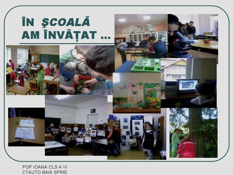 ÎN ŞCOALĂ AM ÎNVĂŢAT