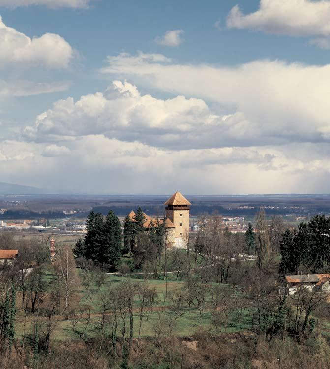 IZ SVEG