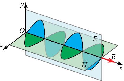 iau concomitent valorile maxime și, respectiv, minime în aceleași puncte ale spațiului (fig..). 6. Unda electromagnetică este o undă polarizată.