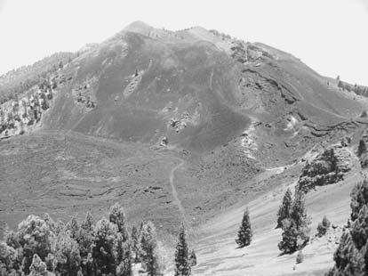 text for details (TK)... La Palma +3.3 Duraznero -. Las Cañadas Caldera.