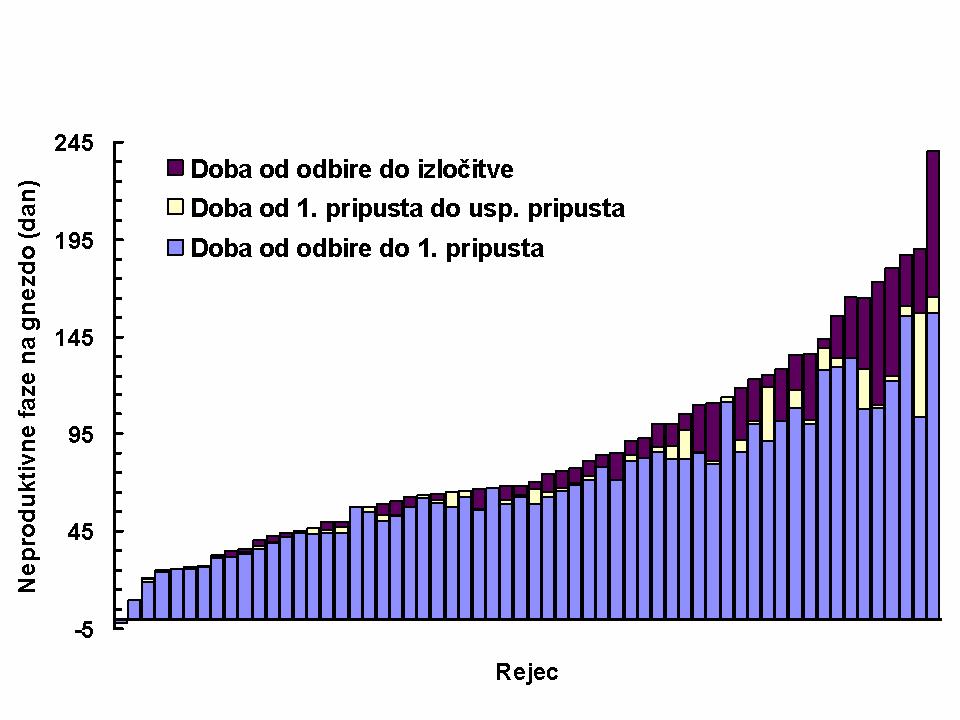 Neproduktivne faze - mladice Dodatni