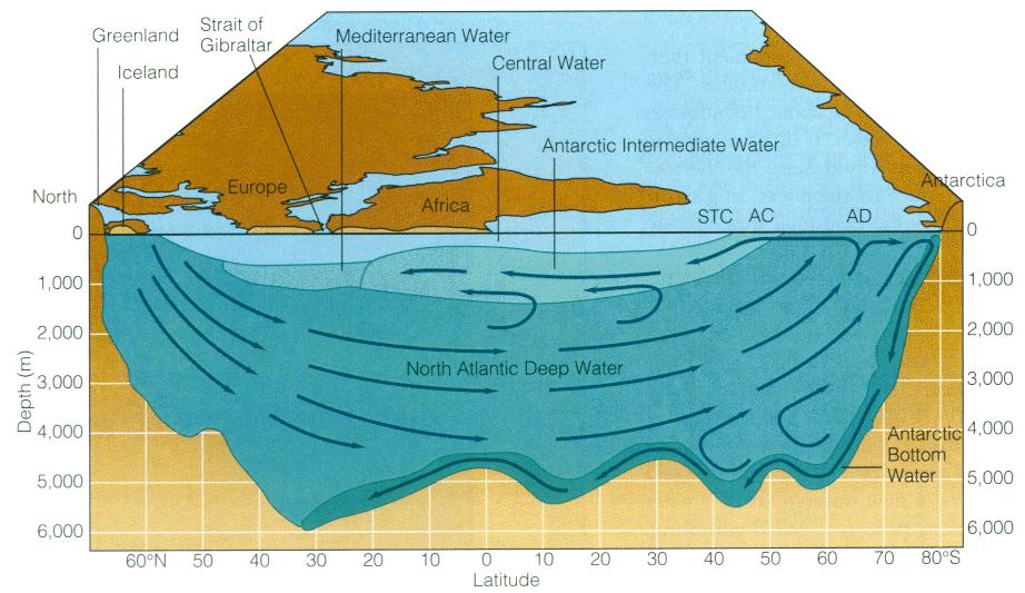Dve regiji, kjer nastaja globinska voda Antarktika globokomorska voda Slanost = 34.65 Temperatura = -0.5 C gostota = 1.