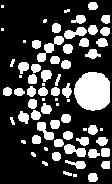 atomsku fluoroscentnu spektroskopiju.