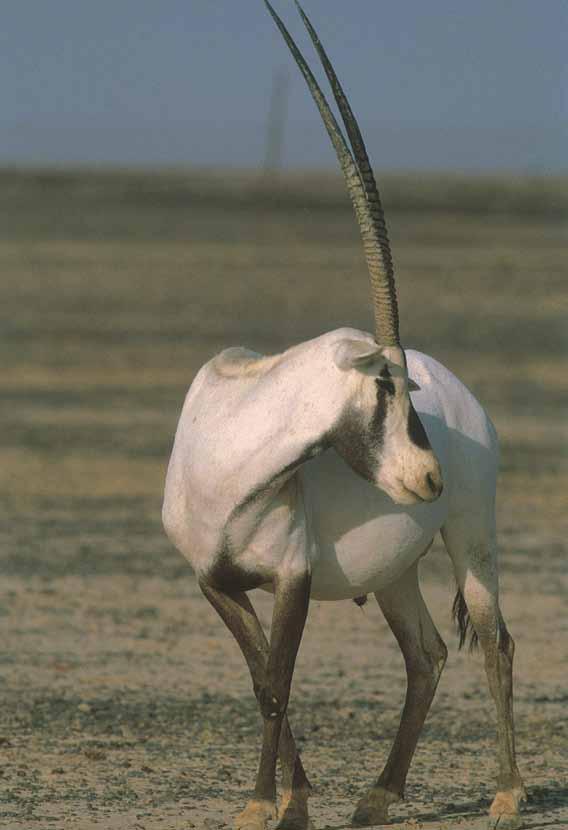 á»hô dg É ŸG áصüb.