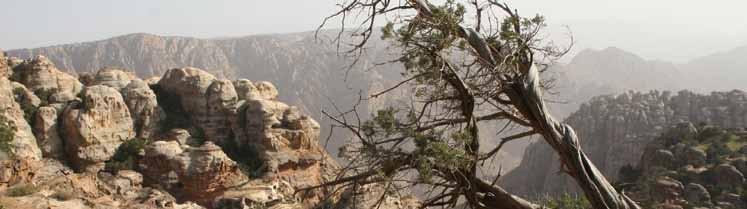 : Éæ«a QÉKBG EGلى äéyé S 5 hcg 4 IóŸ GóbC Gم Yلى kgò S LƒàdG æµáك ÉfÉضV ájôb EGلى Uhصdƒك óæy ôëñdg EGلى jô ùdg jô dgق ÈY É «deg UƒdGصƒل æµáك hcg.