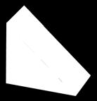 POSTERIOR) NUCLEU
