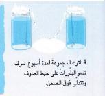 مف نتجت تكونت التي ارت