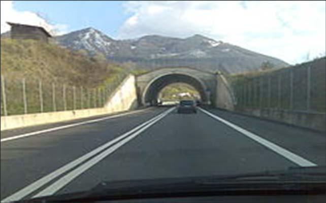 scaunele din fata, ce poate fi folosit in