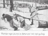 .. Forcat e djathta konservatore krijuan... Forcat e majta demokratike krijuan... Zgjedhjet e vitit 1931 sollën... Në vitet 1936-1939 në Spanjë u zhvillua.