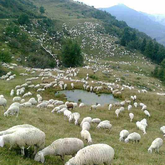 nr. vendlindje Nga HALIL teodori Rrugës duke u ngjitur nga Fushë Bulqizë, përmes një shtegu gjarpërues, shfaqet përnjëherë, përmbas shpinës së malit, një pamje që të magjeps me mistikën e vet.