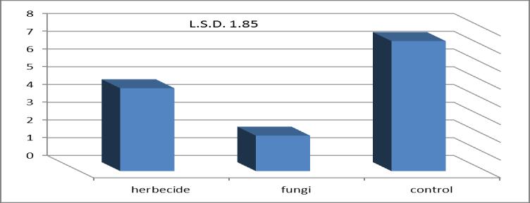 Euphrates Journal of Agriculture Science-6 (1): 9-18, (2014) Temur et al. Figure ( 1) treatment infect curvularia clavata on wide of leaves blade for weed D.bipinnata.