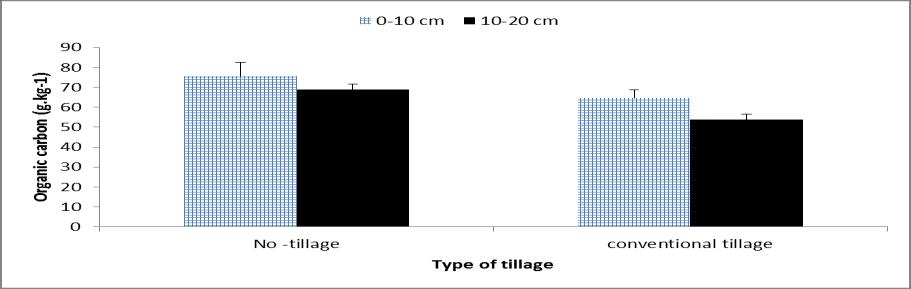 Euphrates Journal of Agriculture Science-6 (1): 19-33, (2014) Maliki et al. Figure 4. Effect of tillage (no-tillage (NT) and conventional tillage (CT)) on organic carbon content (g.