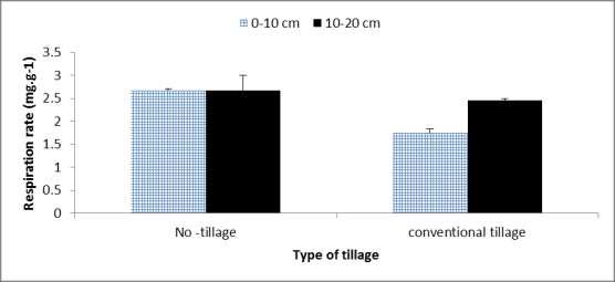 Euphrates Journal of Agriculture Science-6 (1): 19-33, (2014) Maliki et al.