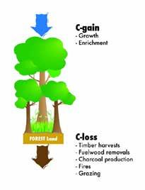 Có 2 cách cơ bản để làm điều này: Một cách để đo lường carbon được gọi là phương pháp được-mất.