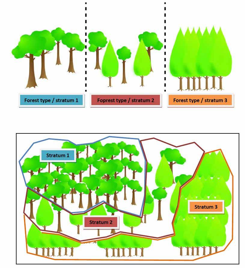 PART III MODULE 4 SESSION 2 HOW TO MEASURE AND MONITOR CARBON A SIMPLE GUIDE 119 Đồ thị