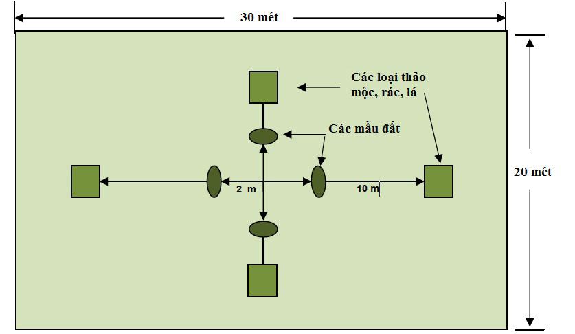 PART III MODULE 4 SESSION 2 HOW TO MEASURE AND MONITOR CARBON A SIMPLE GUIDE 127 Đồ thị 9. Tiểu ô trong ô mẫu hình chữ nhật Nguồn: Sukwong et.al. 2011 e.