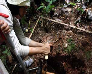 PART III MODULE 4 SESSION 2 HOW TO MEASURE AND MONITOR CARBON A SIMPLE GUIDE 139 Mỗi mẫu đều được đánh số và ghi rõ