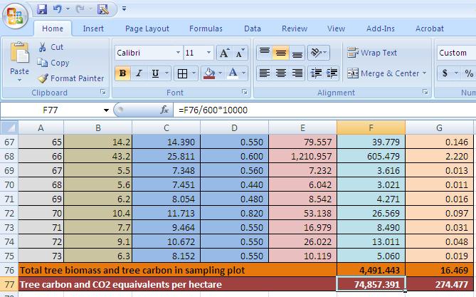 PART III MODULE 4 SESSION 2 HOW TO MEASURE AND MONITOR CARBON A SIMPLE GUIDE 151 Ở dưới cùng của bảng tạo thêm một hàng nữa tính tổng sinh khối, carbon và CO2 tương đương và một hàng carbon, CO2