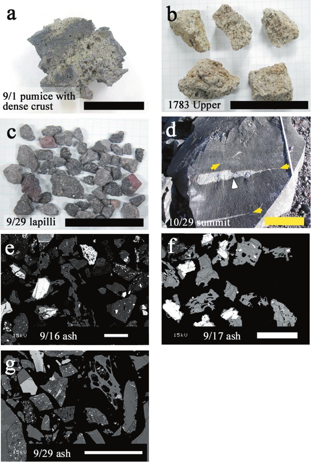 ,**. 319 Fig.,. (a) Pumiceous bread crust bomb erupted on Sep. +. (b) Pumices of the +12- plinian eruption (upper unit). (c) Lapilli erupted on Sep.,3.