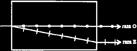 Raza ordinară şi cea extraordinară sunt unde polarizate liniar cu direcţii de polarizare reciproc perpendiculare. Fenomenul de birefringenţă se poate explica utilizînd construcţia lui Huygens.