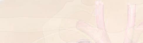 اأS صت ك ص ما و XيØة الق لÖ اأ نا اأعمπ اأ سع ط ريف ال سماعة يف اأ ذين واأ س ع الط رف اال خر منها على اجلهة الي رشى م ن س در ي ماذا اأ س مع اأ سف ال س وت الذي س معته.