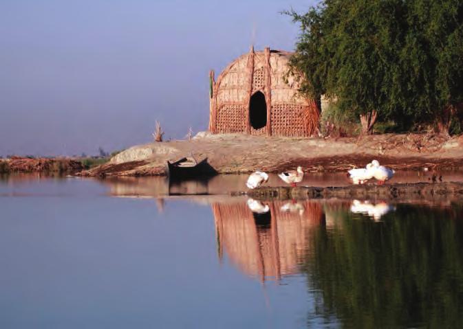 ويوج د يف الع راق حم مي ات ط بيعية منها حم م ية الن جف اال رشف لل ح يوانات الب ية وحم مي ة املثنى لل ح يوانات الب ية وحم مي ة ك سيبة )بغداد( لل حيوانات الب ية وحم مي ة سنجار )املو سل( لل نباتات الب