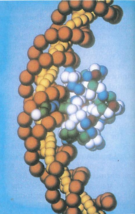 intermolekulske b-ploskve.