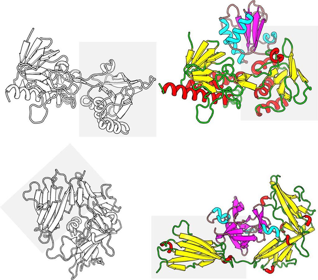 Mehanizmi prepoznavanja med proteini Tvorbo kompleksa lahko spremljajo konformacijske spremembe enega ali obeh proteinov.