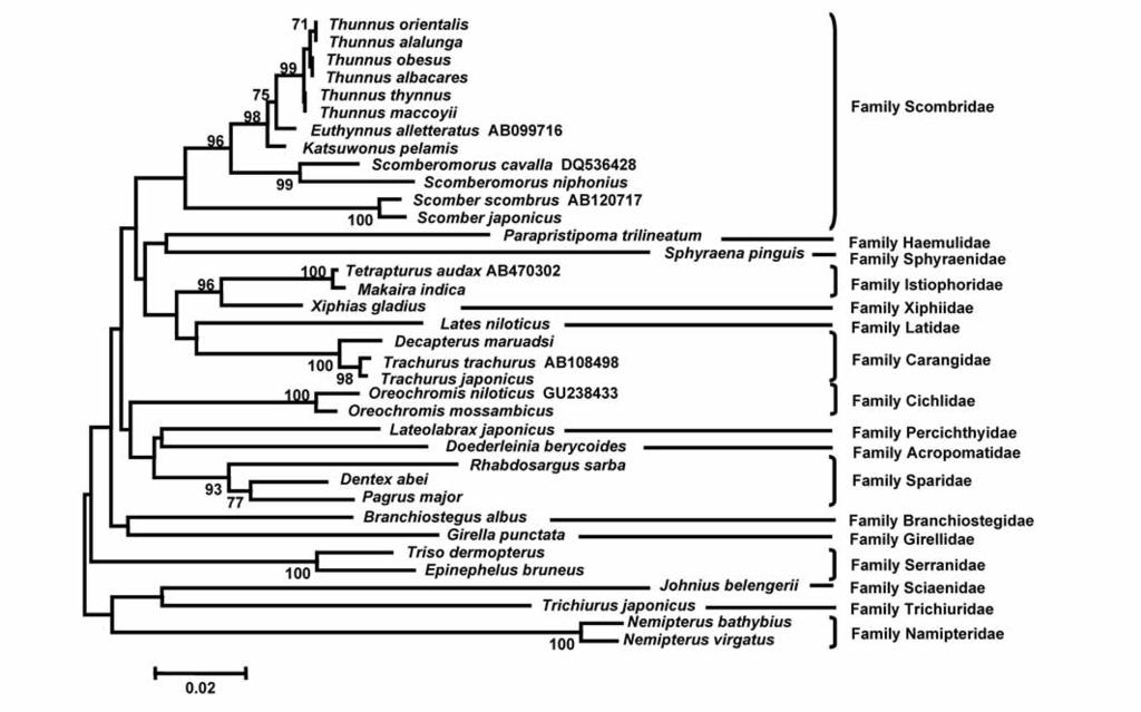 10 Fig.