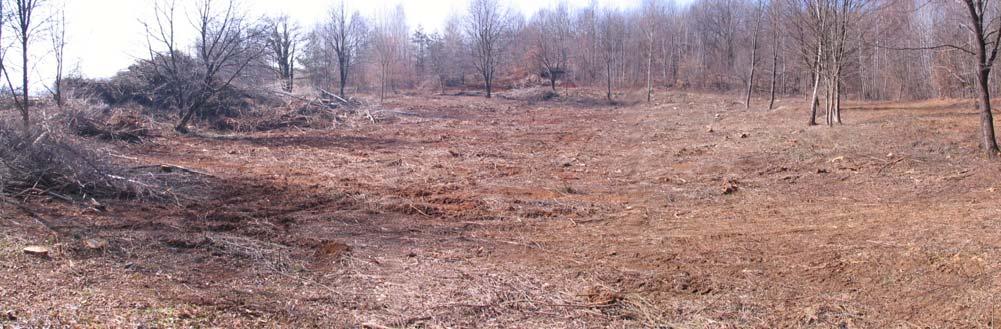 Slika 4: Pogled z severovzhodne brežine. Dno in brežine kala po odstranitvi zarasti. Foto; marec 2012