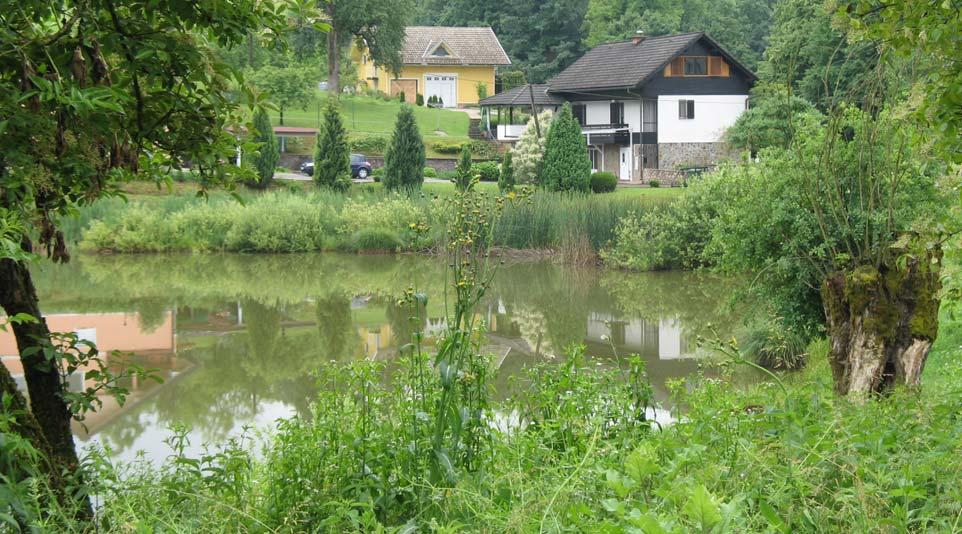 Slika 7: Pogled s parkirišča ob cesti.