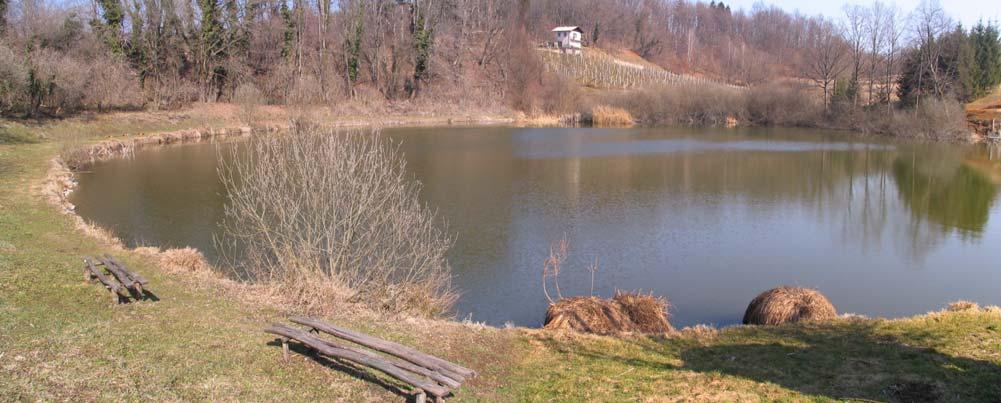 Foto; april 2011 Slika 8: Pogled z brežine pod parkiriščem na