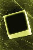 equilibrium shape