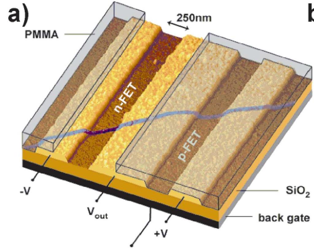 Membranes and Filaments Carbon nanostructures