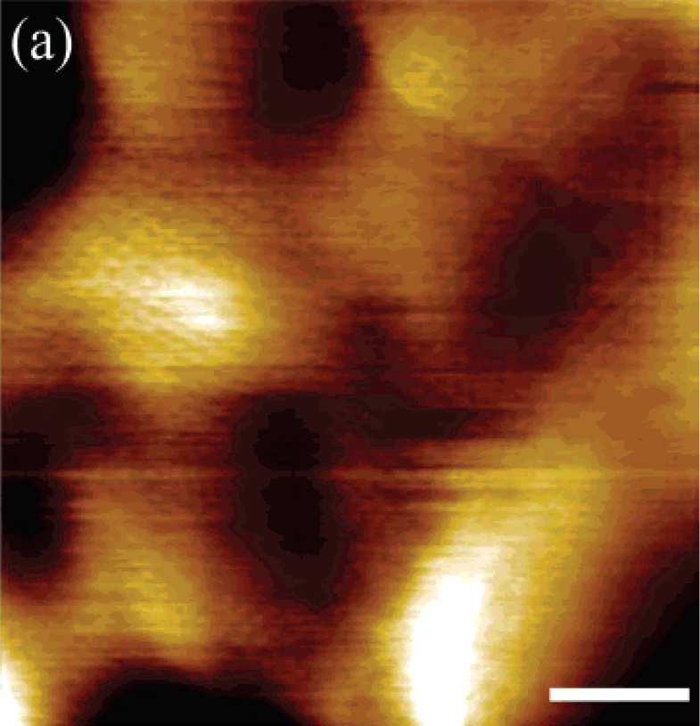 NanoLetters (2001). Graphene on rough SiO 2 E.D.