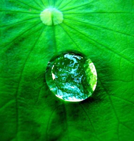 Physics, Oxford, Wetting UK, and AND adhesion