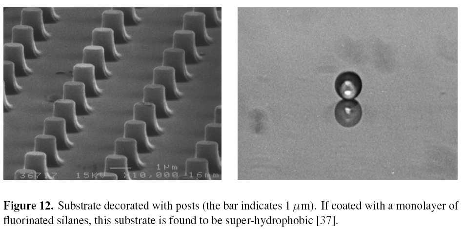 Liquid drops Super-hydro-phobic surfaces: Wenzel and cassie-baxter states Bico, Marzolin, Quéré, Europhys. Lett (1999).