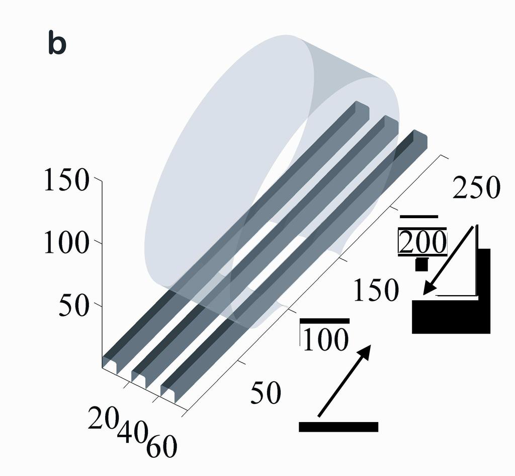Liquid drops Dynamics of lifting and collapse Parallel