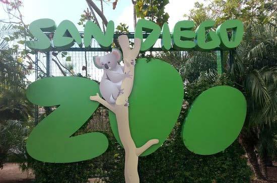 SAN DIEGO ZOO ΖΩΟΛΟΓΙΚΟΣ ΚΗΠΟΣ ΣΑΝ ΝΤΙΕΓΚΟ Έναρξη: 09:30 Διάρκεια: - Απολαύστε μια μέρα στην άγρια φύση στο διάσημο ζωολογικό κήπο του Σαν Ντιέγκο με αυτή την ημερήσια εκδρομή από το Λος Άντζελες.