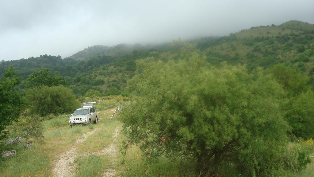 10. ΦΩΤΟΓΡΑΦΙΚΗ ΤΕΚΜΗΡΙΩΣΗ Στο κεφάλαιο αυτό παρουσιάζονται φωτογραφίες που απεικονίζουν την περιοχή γύρω από τη θέση που είναι εγκατεστημένος ο υφιστάμενος