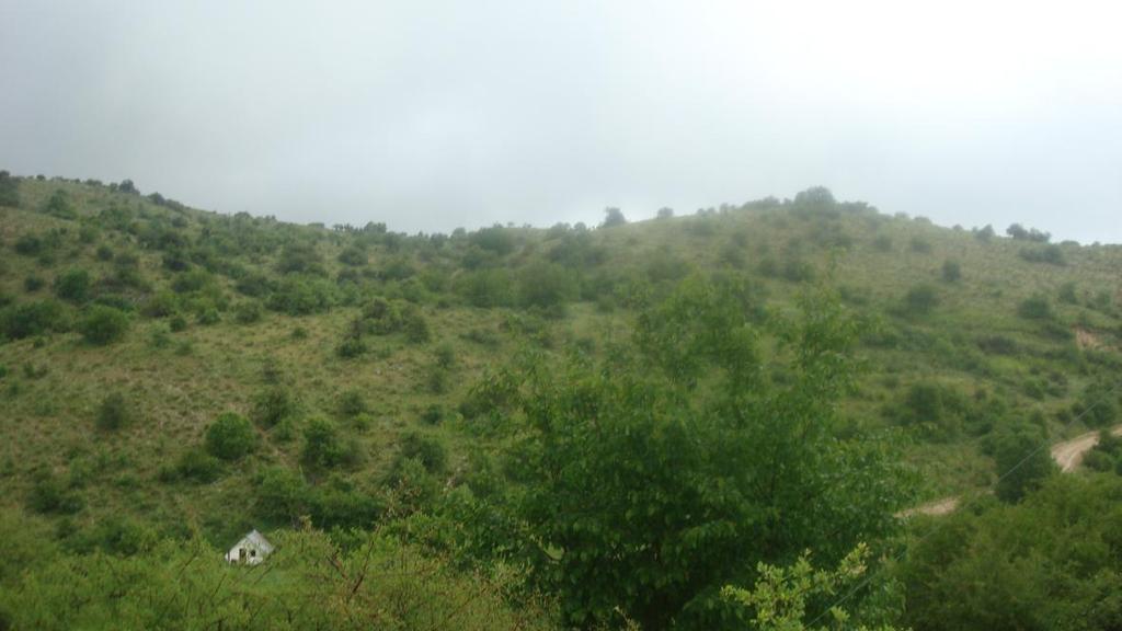 Φ2 : Άποψη προς