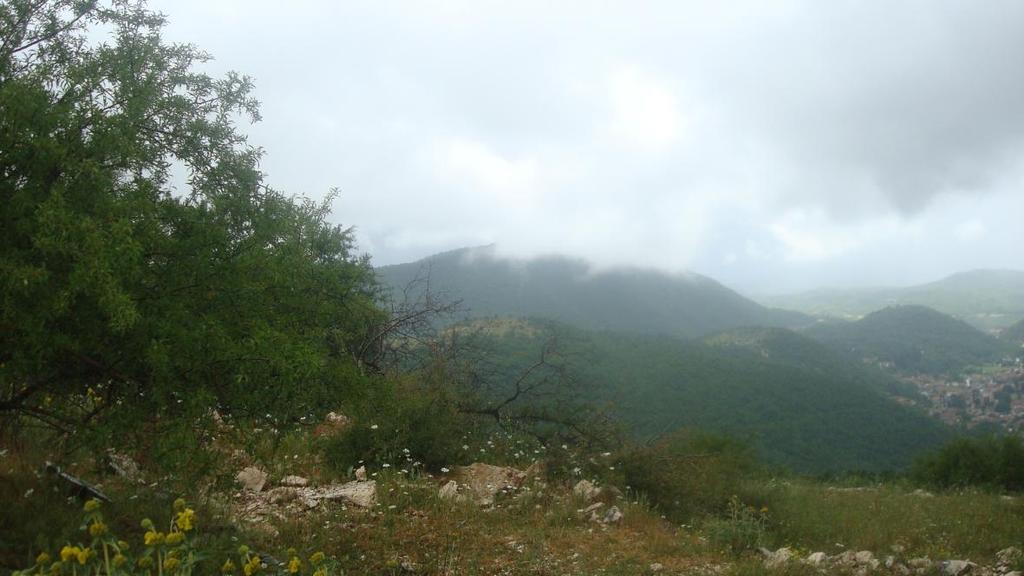Φ6 : Άποψη προς