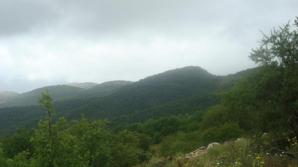 Φ8 : Άποψη προς