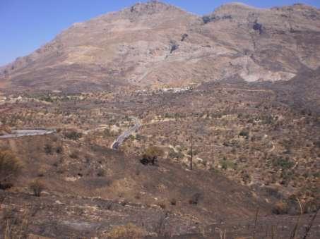 Στην περιοχής δεν