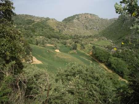 Είναι στο βοσκότοπο