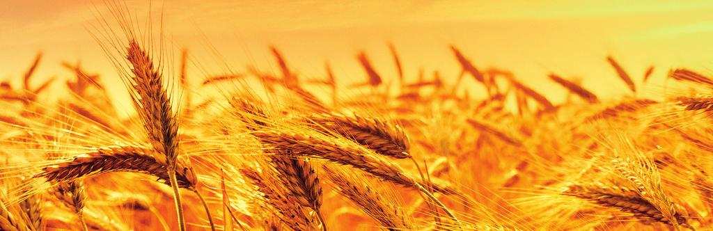 Σήμερα η EUROAGRO θέτει και πάλι νέους στόχους.