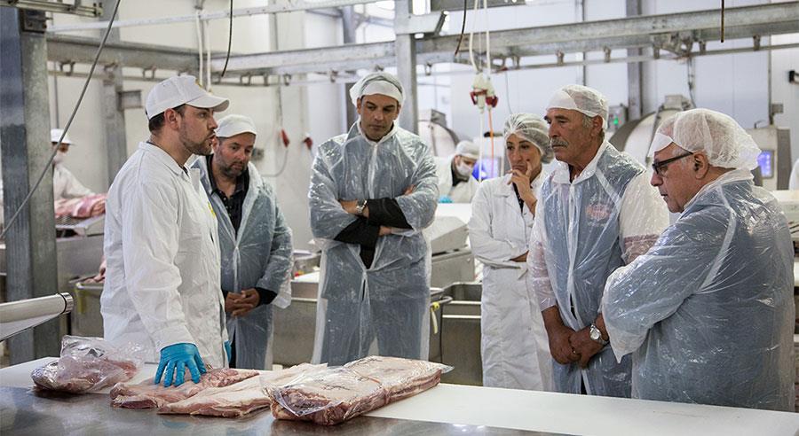 Όλα τα στάδια της παραγωγικής διαδικασίας (παραλαβή, επεξεργασία, κοπή, συσκευασία, αποθήκευση, διακίνηση) βρίσκονται υπό ελεγχόμενες συνθήκες (θερμοκρασίας, υγρασίας) και εφαρμόζονται σε αυτά