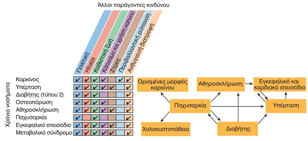 Άσκηση, παράγοντες